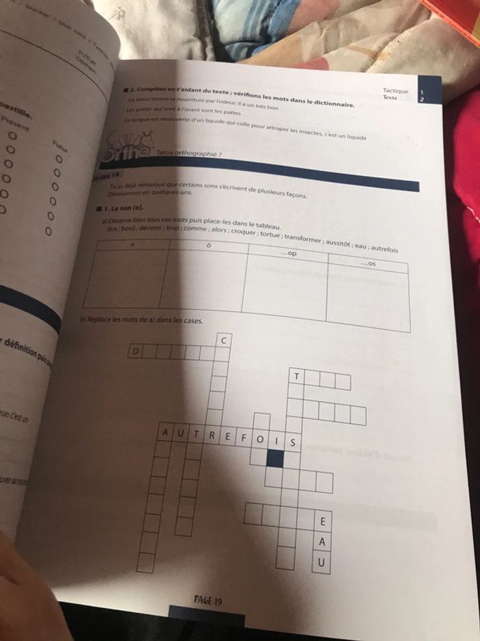 Tatou 3 français - photo numéro 13