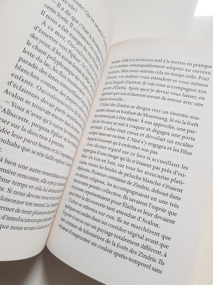 Ménéas Marphil (Auteur) La fabuleuse histoire des lunes de Pandor - Tome 1 : Abracadagascar - photo numéro 3