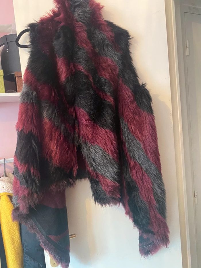 Veste sans manche à fourrure - photo numéro 2