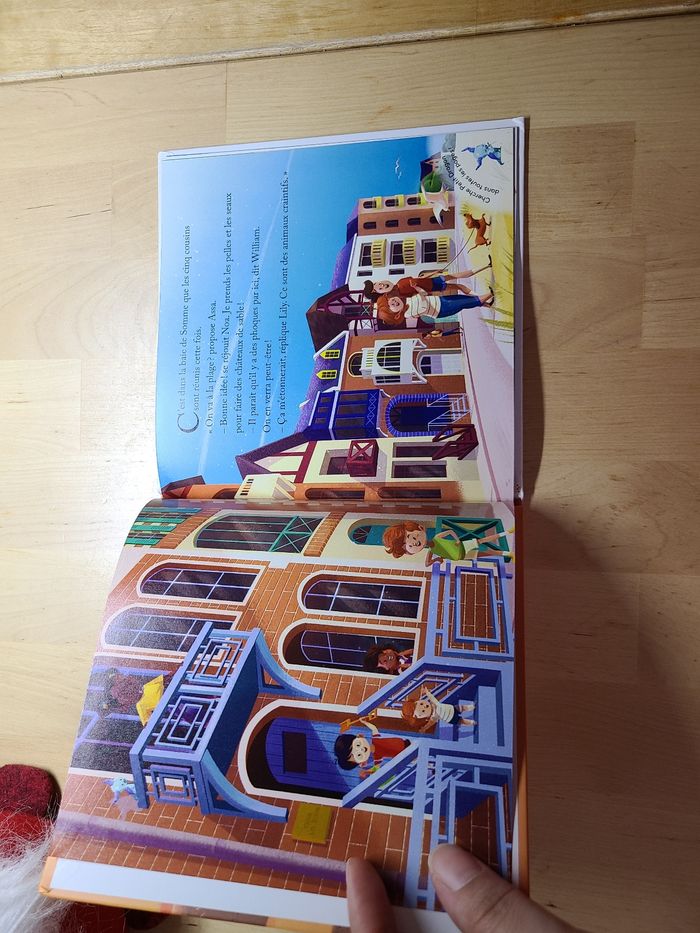 Petit tour en baie de somme - photo numéro 4