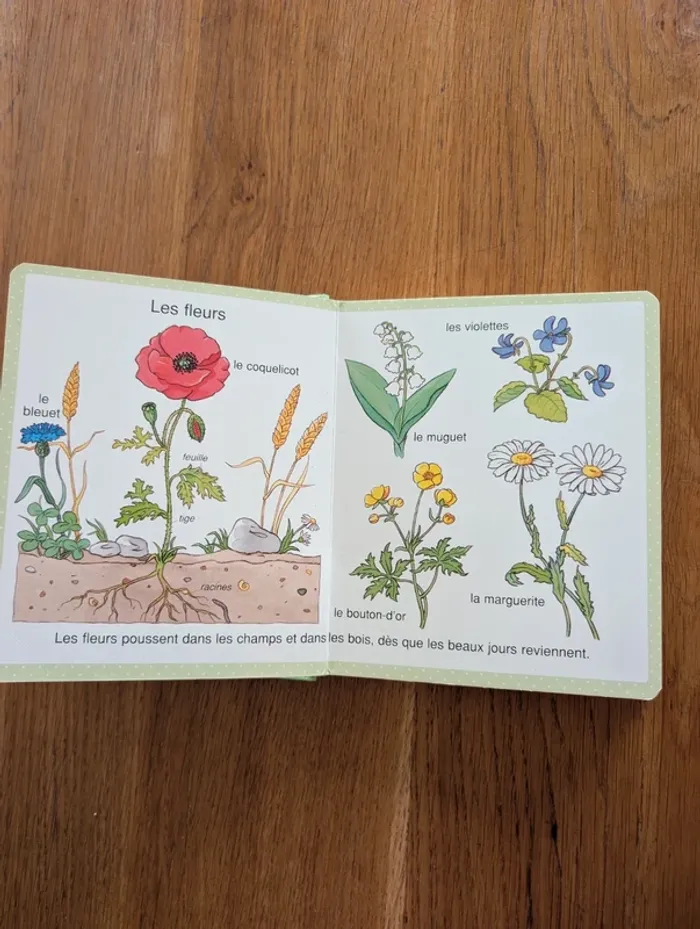 L'imagerie des tout petits : La nature - photo numéro 2
