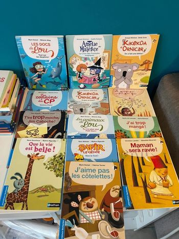 13 livres de premières lecture 6/8 ans Nathan