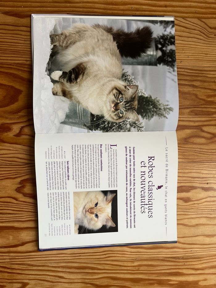 Livre Le sacré de Birmanie - photo numéro 2