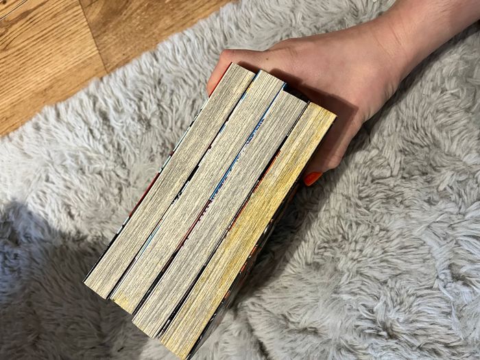 Démon slayer - photo numéro 4