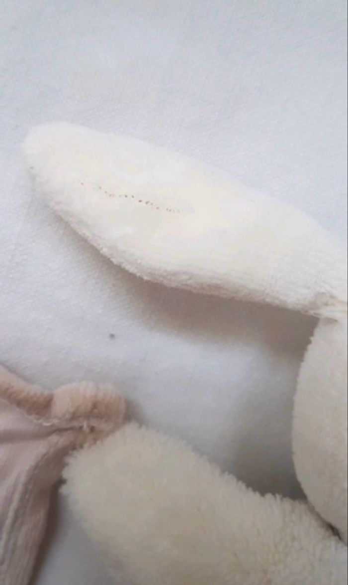 Petit doudou lapin - photo numéro 3