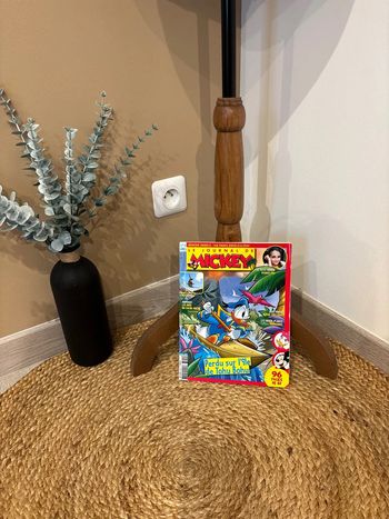 Livre le journal de Mickey