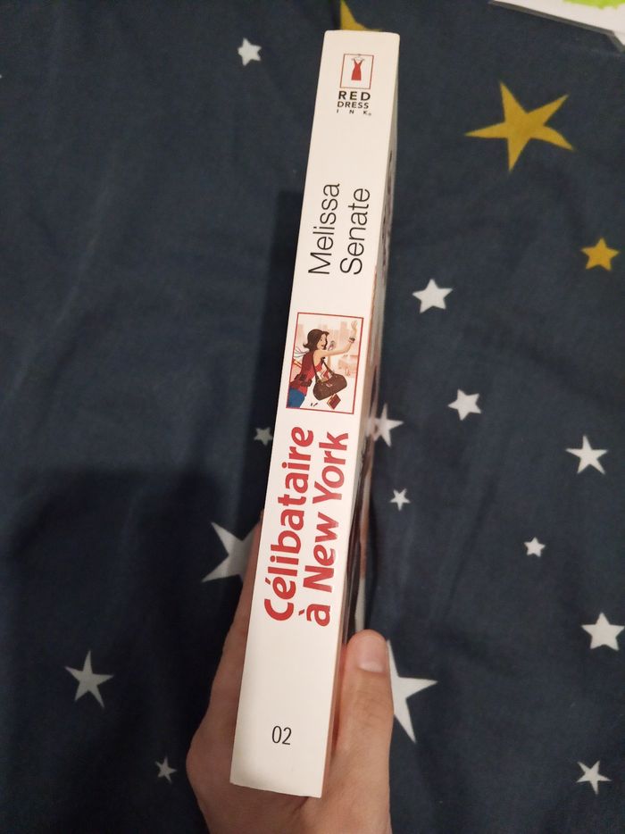 Livre (69) 📚 Célibataire a New-York - photo numéro 3