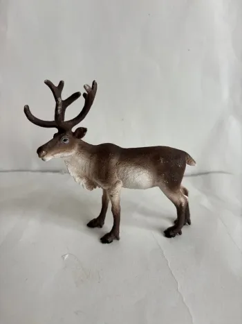 Renne Schleich