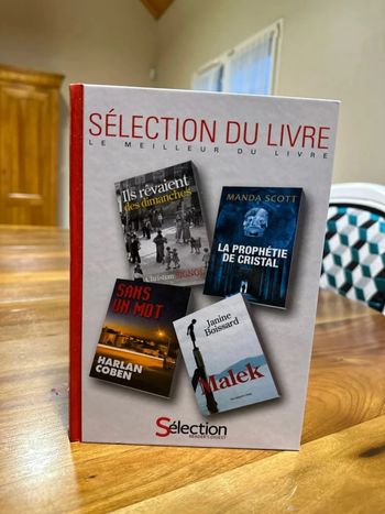 Il rêvé des dimanches la prophétie de cristal sans un mot Malek