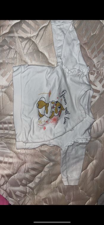 Lot tee shirt et sous pull