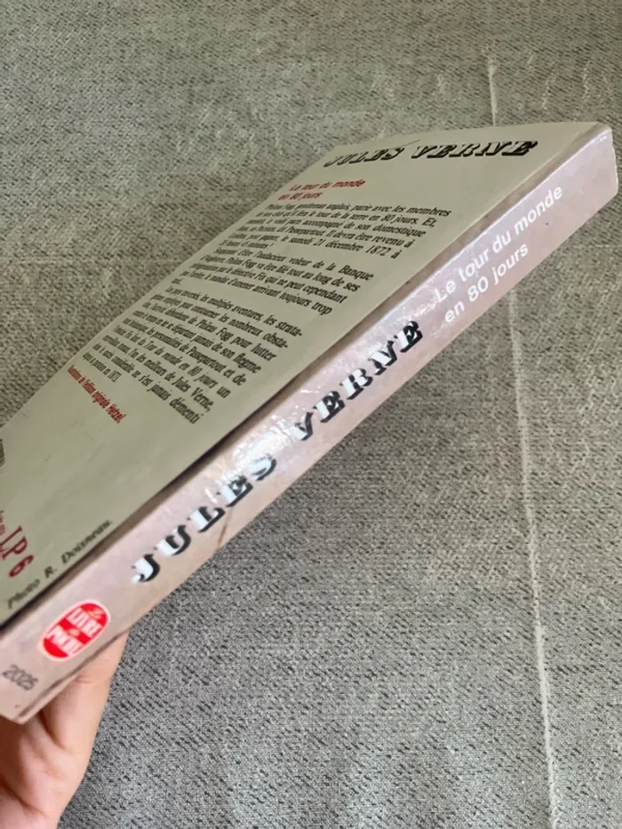Le Tour du Monde en 80 Jours – Jules Verne - photo numéro 4