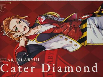 Twisted Wonderland lot de 2 affiches 18x51 cm Cater Diamond, Malleus Draconia