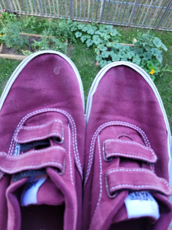 vans t37 (5e) - photo numéro 4