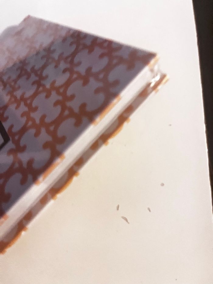 Livre les légendes de la mode sous blister t - photo numéro 3