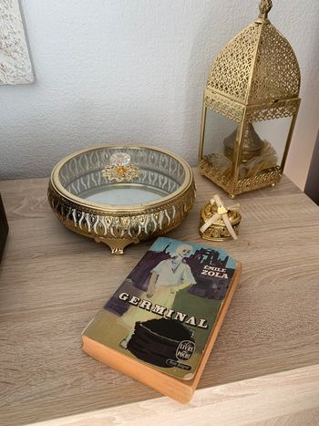 germinal Émile Zola texte intégral livre de poche 😺