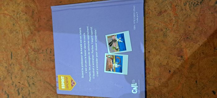 Livre le tournoi de karaté - photo numéro 3