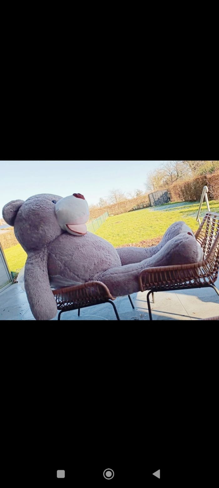 Ours géant, peluche - photo numéro 2