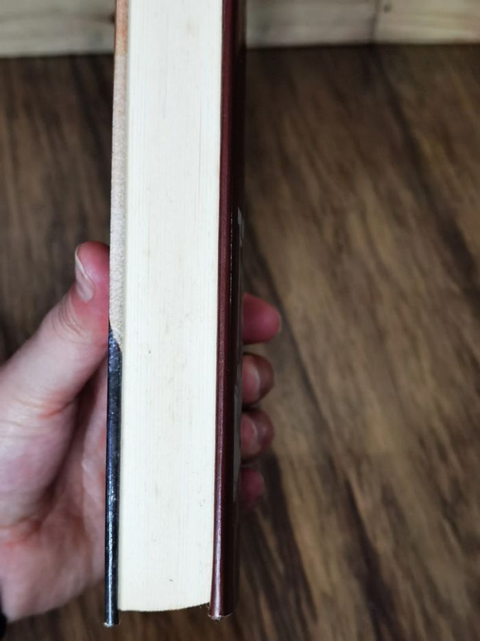 D4279 - livre "le roman de Sophie Trébuchet" - photo numéro 3