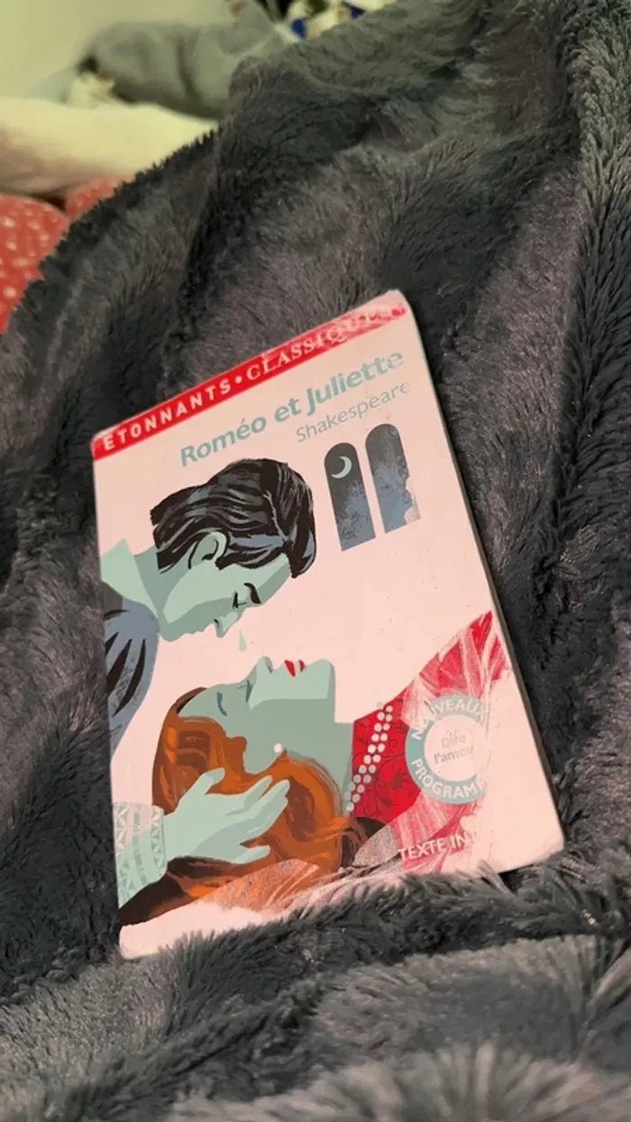 Livre « Roméo et Juliette » - photo numéro 2