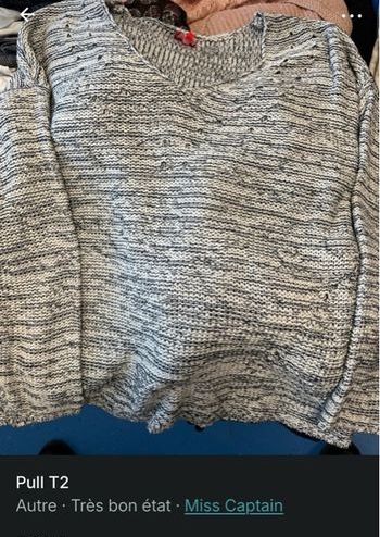 Pull Chiné Captain Tortue