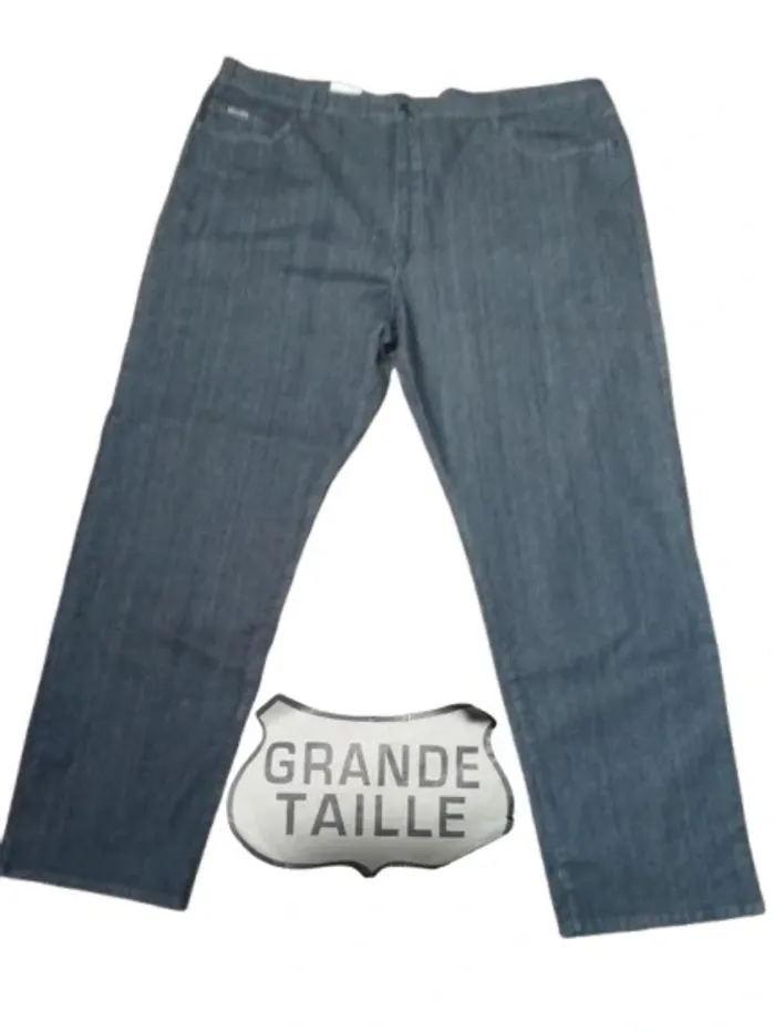 jeans grande taille (62)