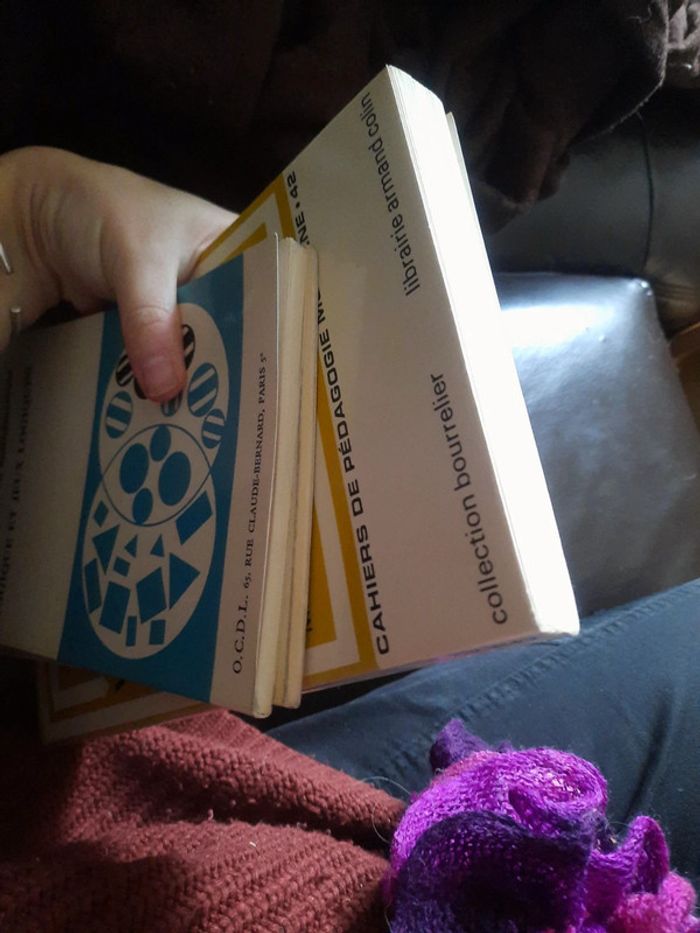 Vers un enseignement rénové de la langue française - photo numéro 9