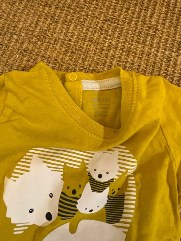 Ensemble - photo numéro 3