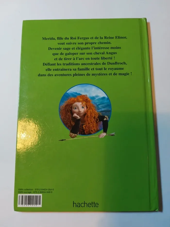 Livre enfant Disney Rebelle - photo numéro 2