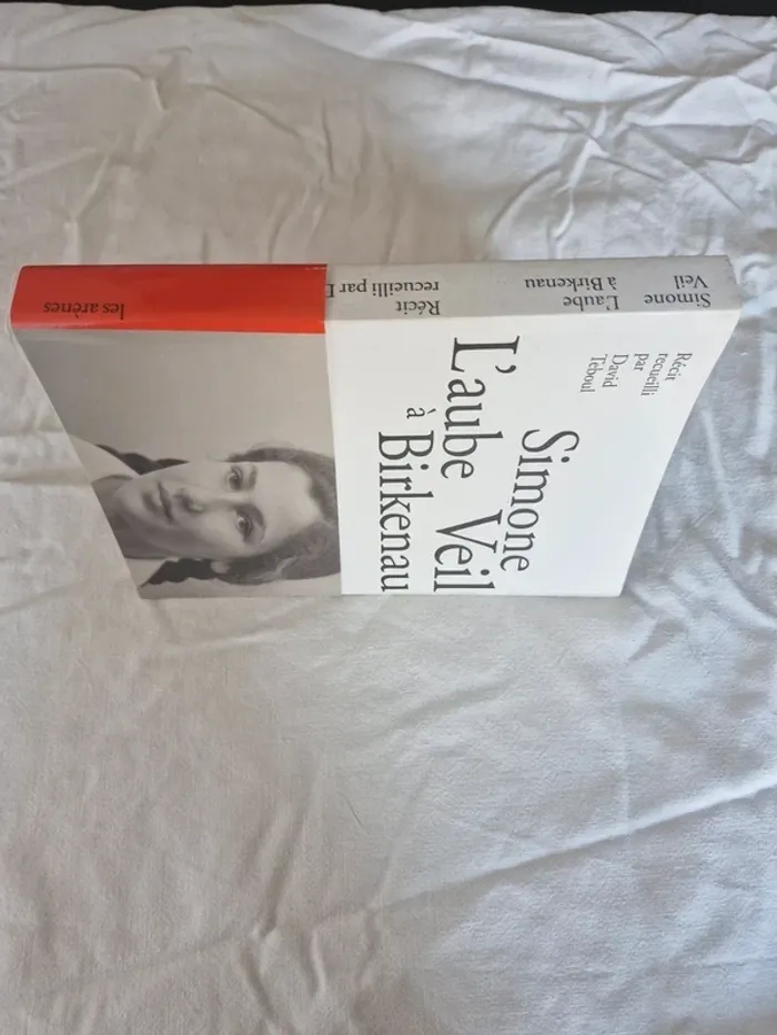 Simone Veil L'aube à Birkenau - photo numéro 3