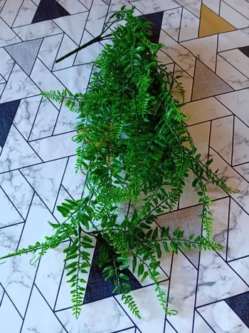 Une tige plante artificielle tombante