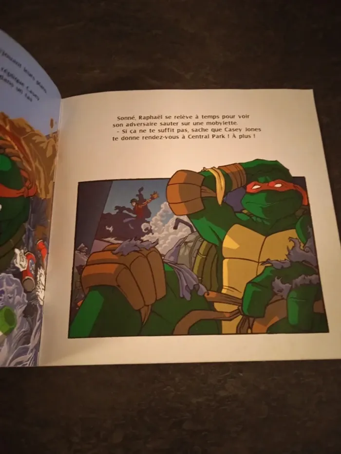Tortues Ninja Rencontre avec Casey Jones - photo numéro 3