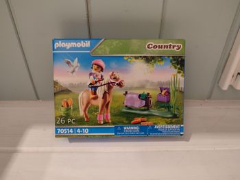 Playmobil 70514 Cavalière et poney islandais