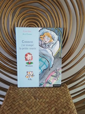 Livre CP lecteur débutant