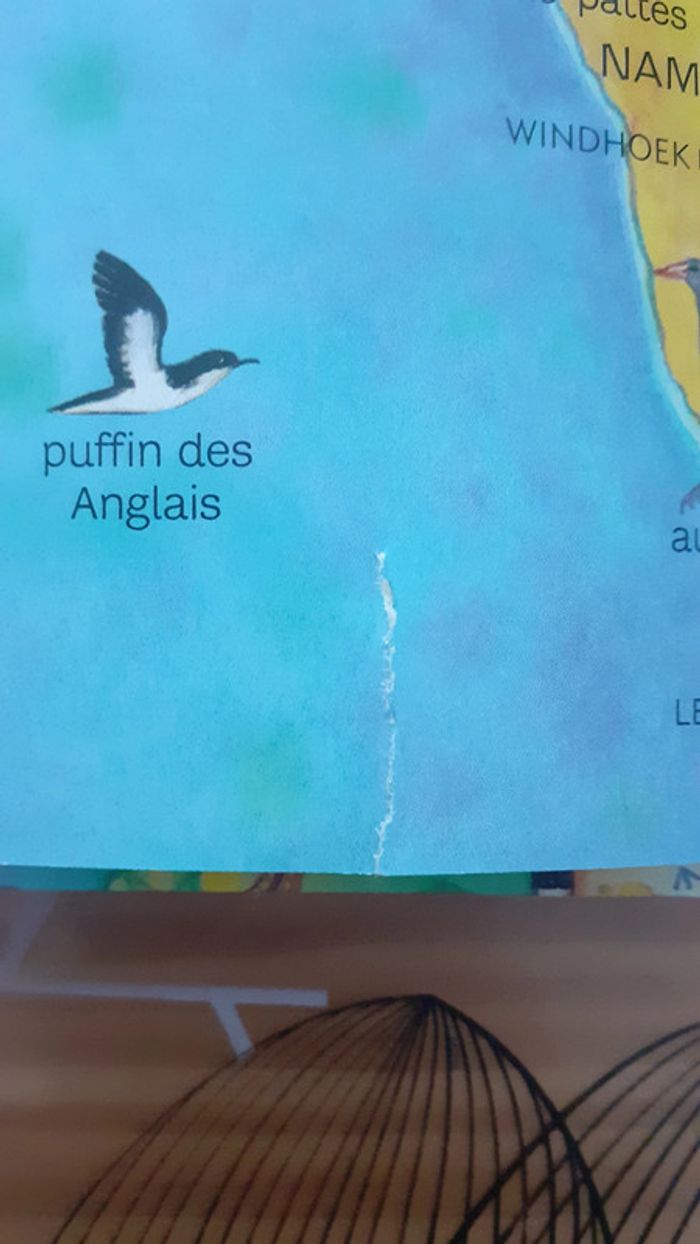 Premier atlas des animaux - photo numéro 4