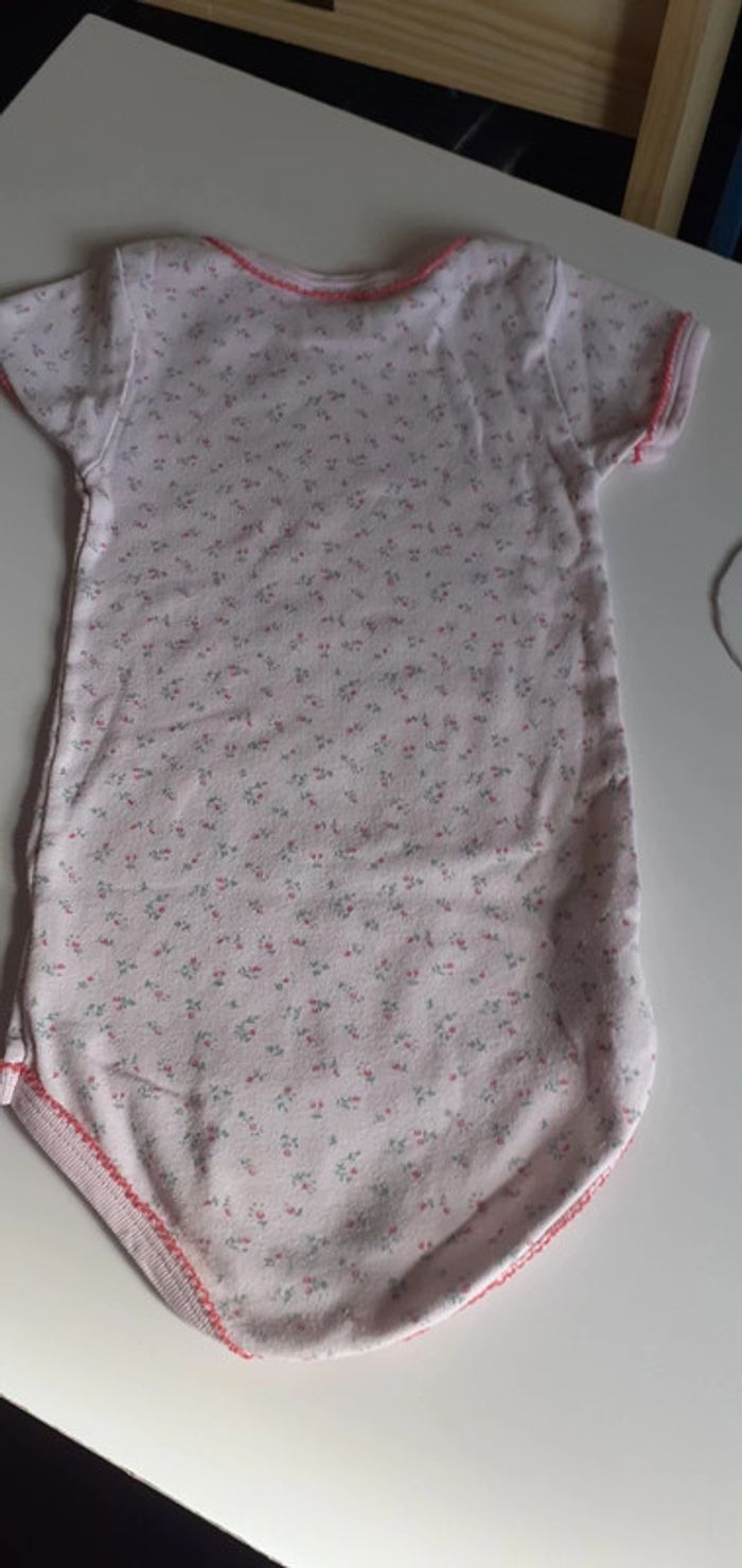 Lot de 3 bodies manches courtes 18 mois - photo numéro 11