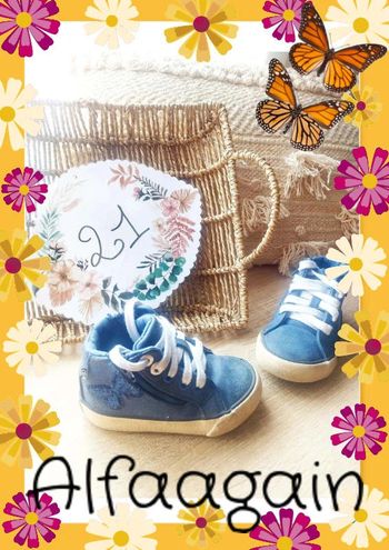 Baskets obaibi papillons 21