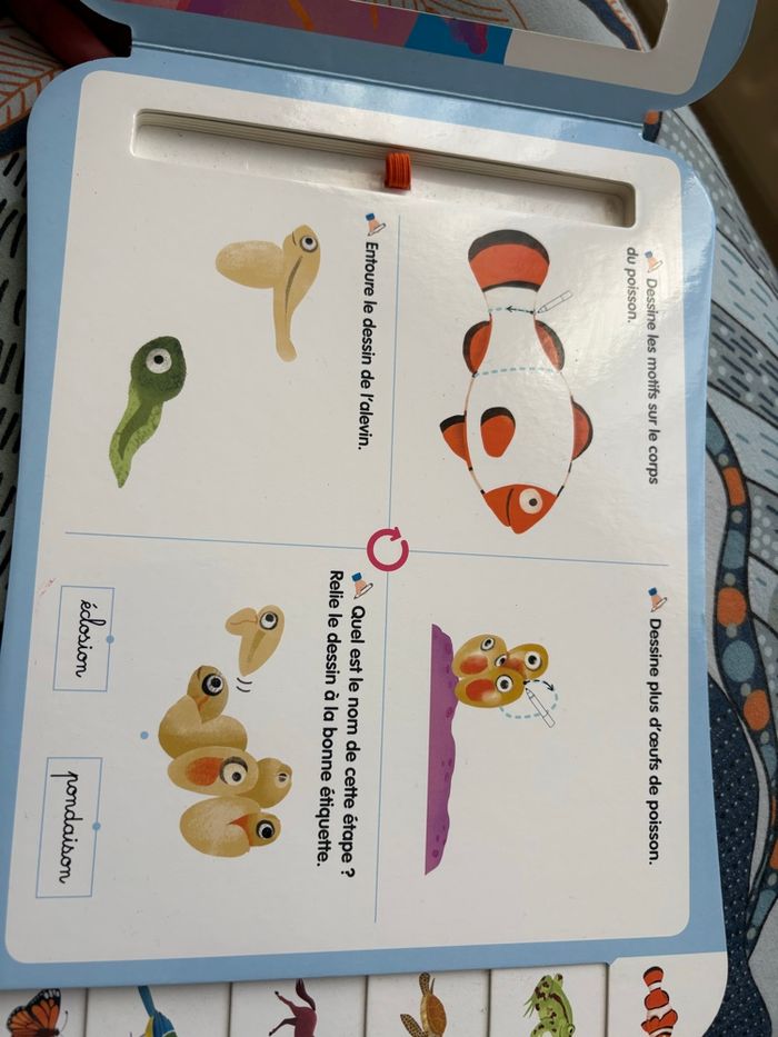 Montessori - photo numéro 3