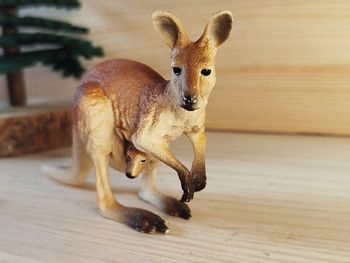 Schleich Kangourou Figurine animal de la savane