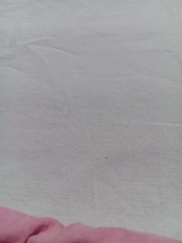 Short Gémo 24 mois - photo numéro 4