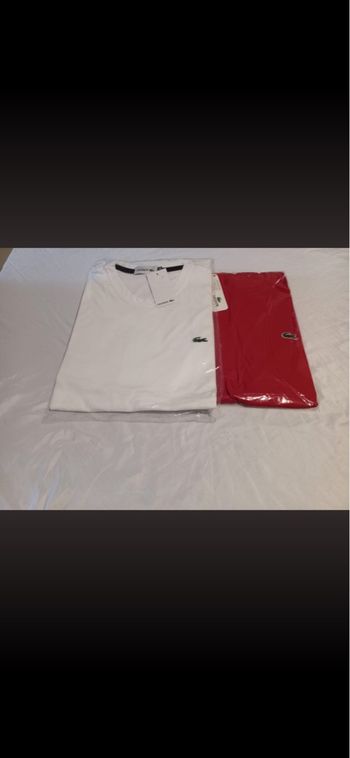 TEE shirt Lacoste