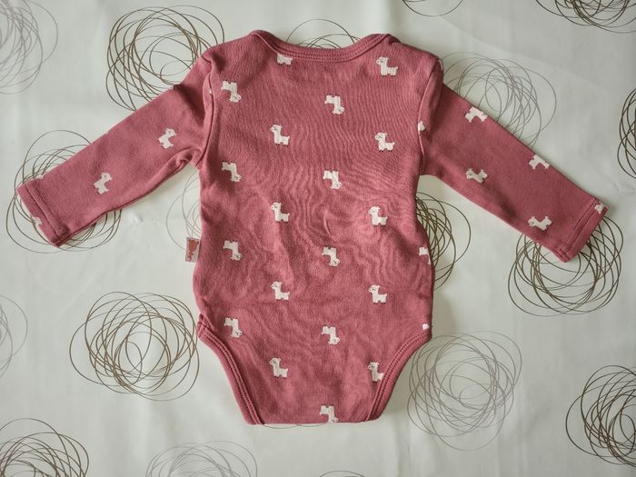 Lot 2 bodies manches longues / Taille 6 mois - photo numéro 2