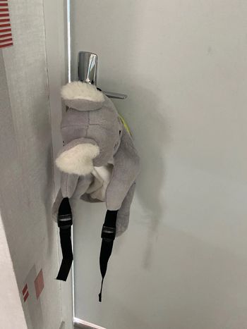 Sac koala