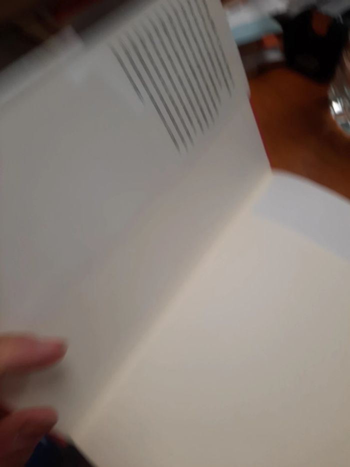 Roman passionnément l'insoumise - photo numéro 5