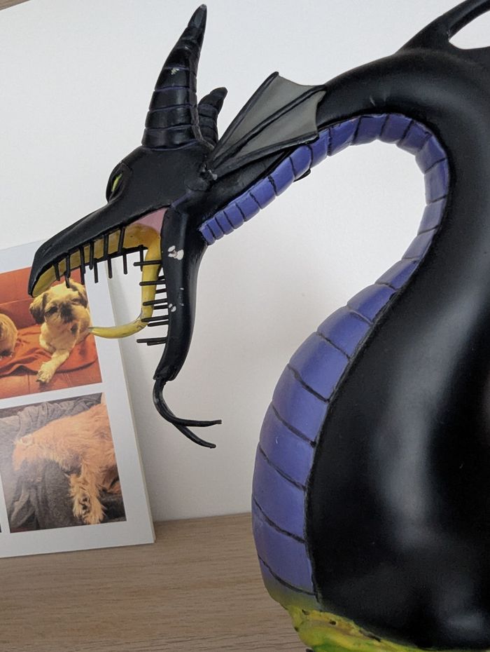 Maléfique dragon - photo numéro 8
