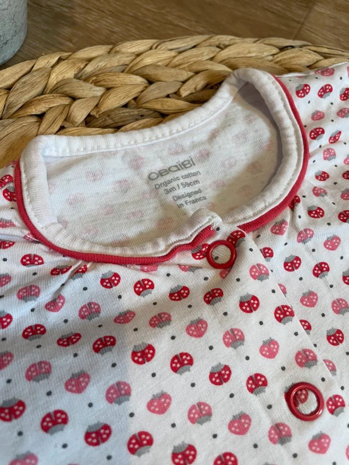 Combishort - photo numéro 3