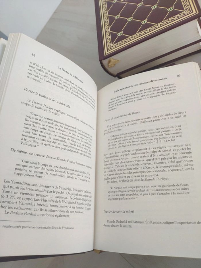 Lot de 5 tomes les grands classiques de l'Inde Bhagavad gita bhakti yoga Krishna Srimad Bhagavatam - photo numéro 17