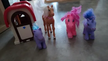 Lot de poney