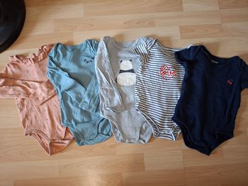 Lot 5 bodies