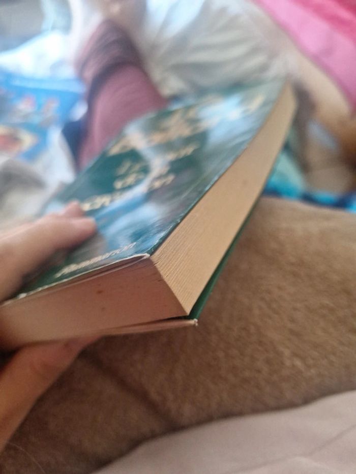 Livre le jour de la création - photo numéro 3