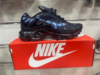Nike tn air max plus